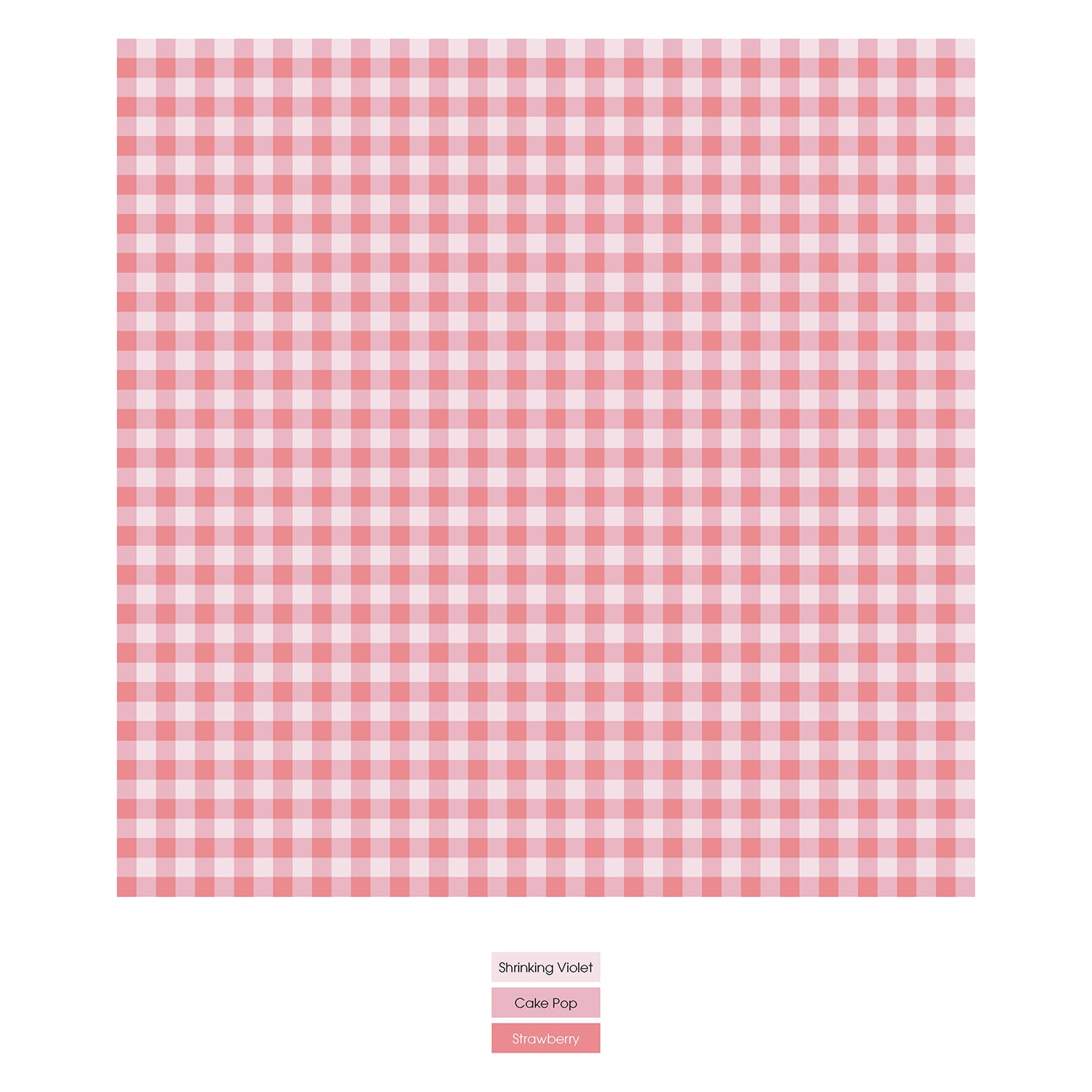 Print Girl's Underwear in Cake Pop Gingham (315439)