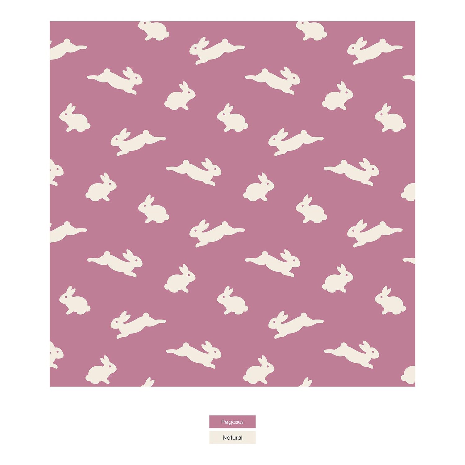 Print Footie with 2 Way Zipper in Pegasus Bunny