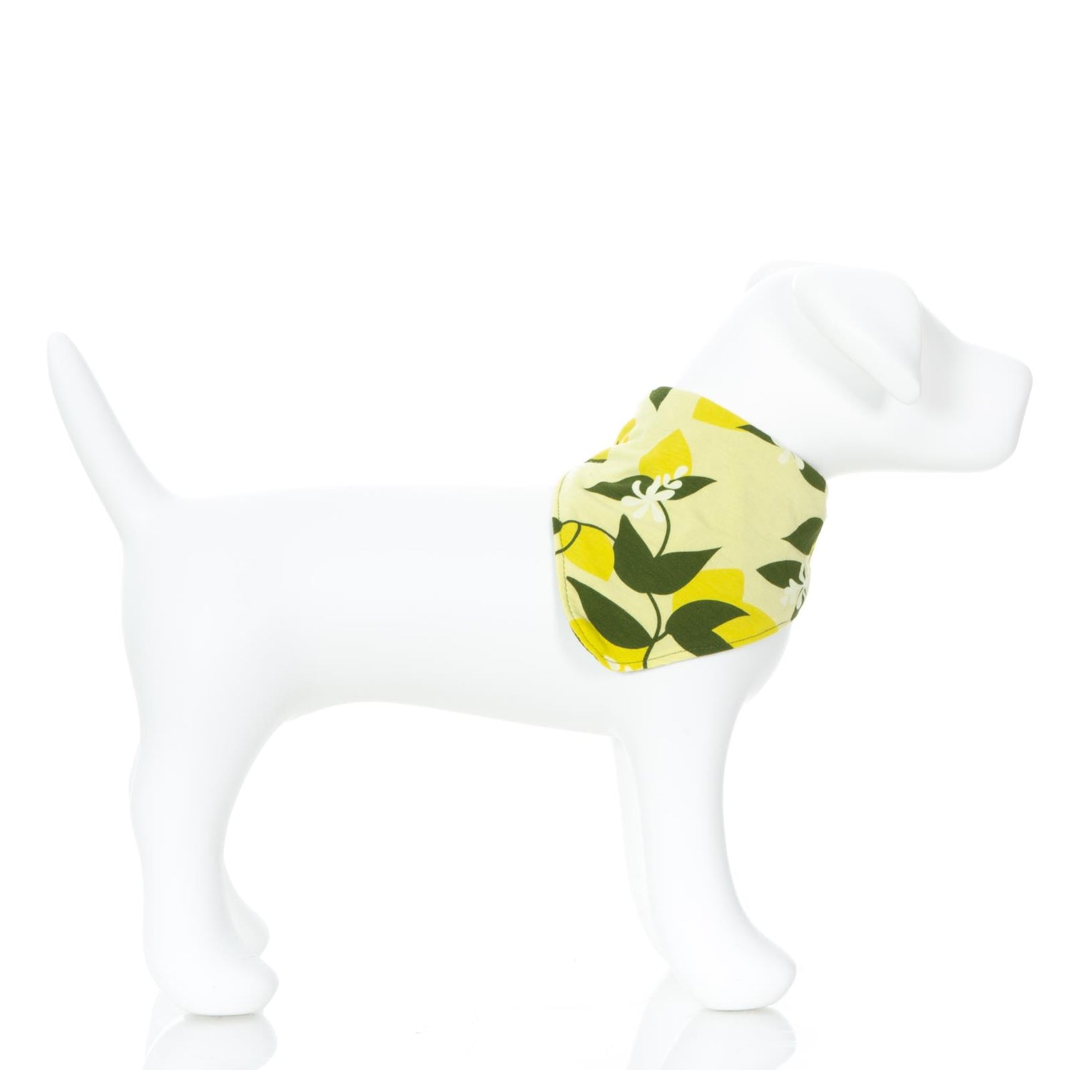 Print Dog Bandana in Lime Blossom Lemon Tree