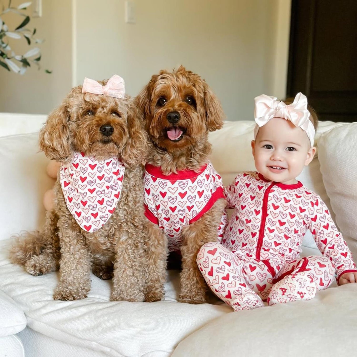 Print Dog Bandana in Natural Heart Doodles (359583)