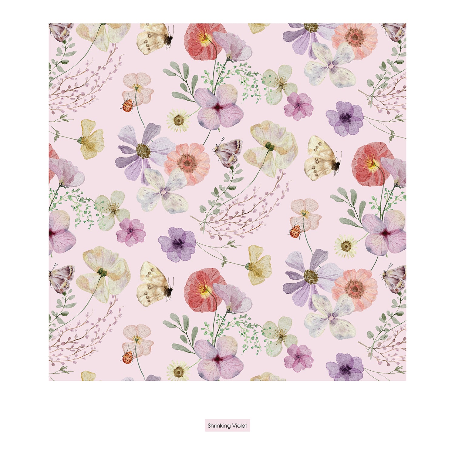Women's Print Classic Brief in Shrinking Violet Pressed Flowers (323911)