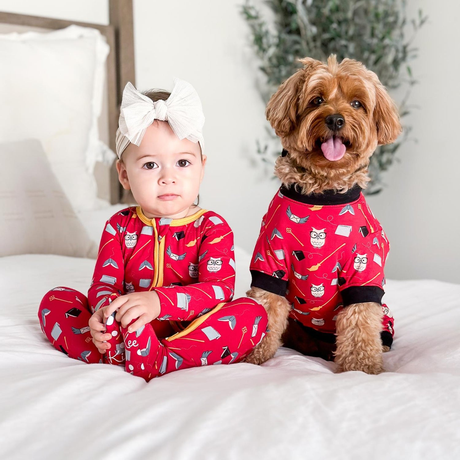 Print Dog Jammies in Crimson Magical World