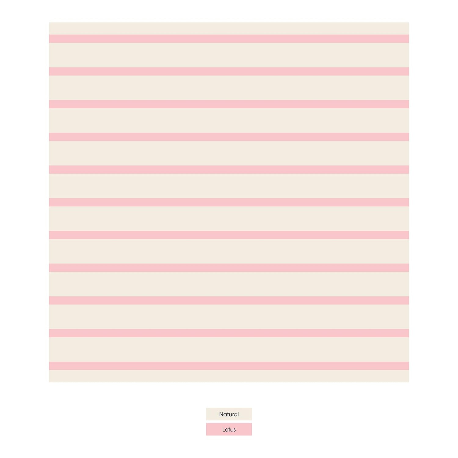 Women's Print Classic Brief in Lotus Sweet Stripe