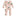 Print Coverall with 2 Way Zipper in Latte Camping Animals (319240)