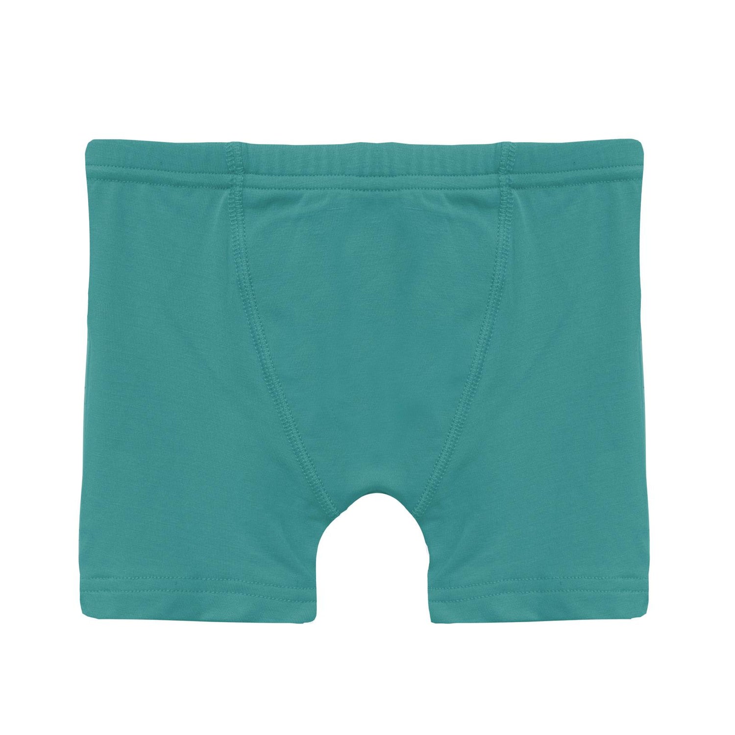 Boy's Boxer Brief in Agave (337194)