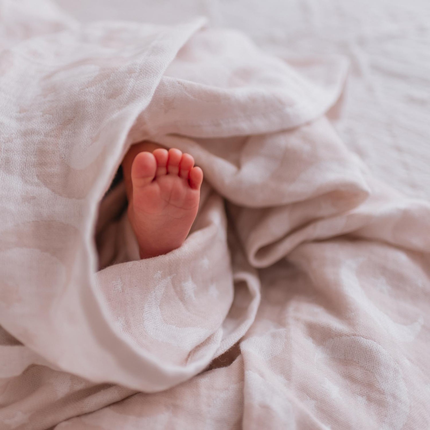 Soft Spun Cotton Jacquard Muslin Swaddle 47 x 47 in Mushroom/Coconut Milk Moon & Stars (360457)